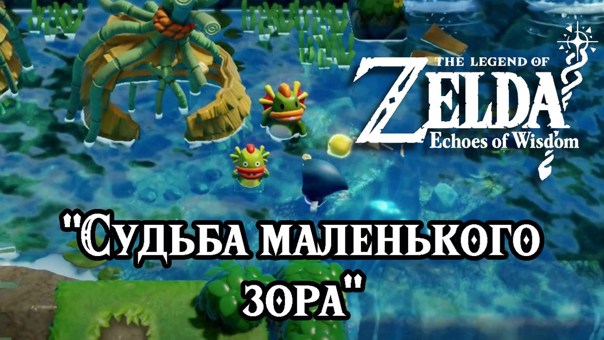 Дополнительное задание "Судьба маленького зора" в игре The Legend of Zelda: Echoes of Wisdom