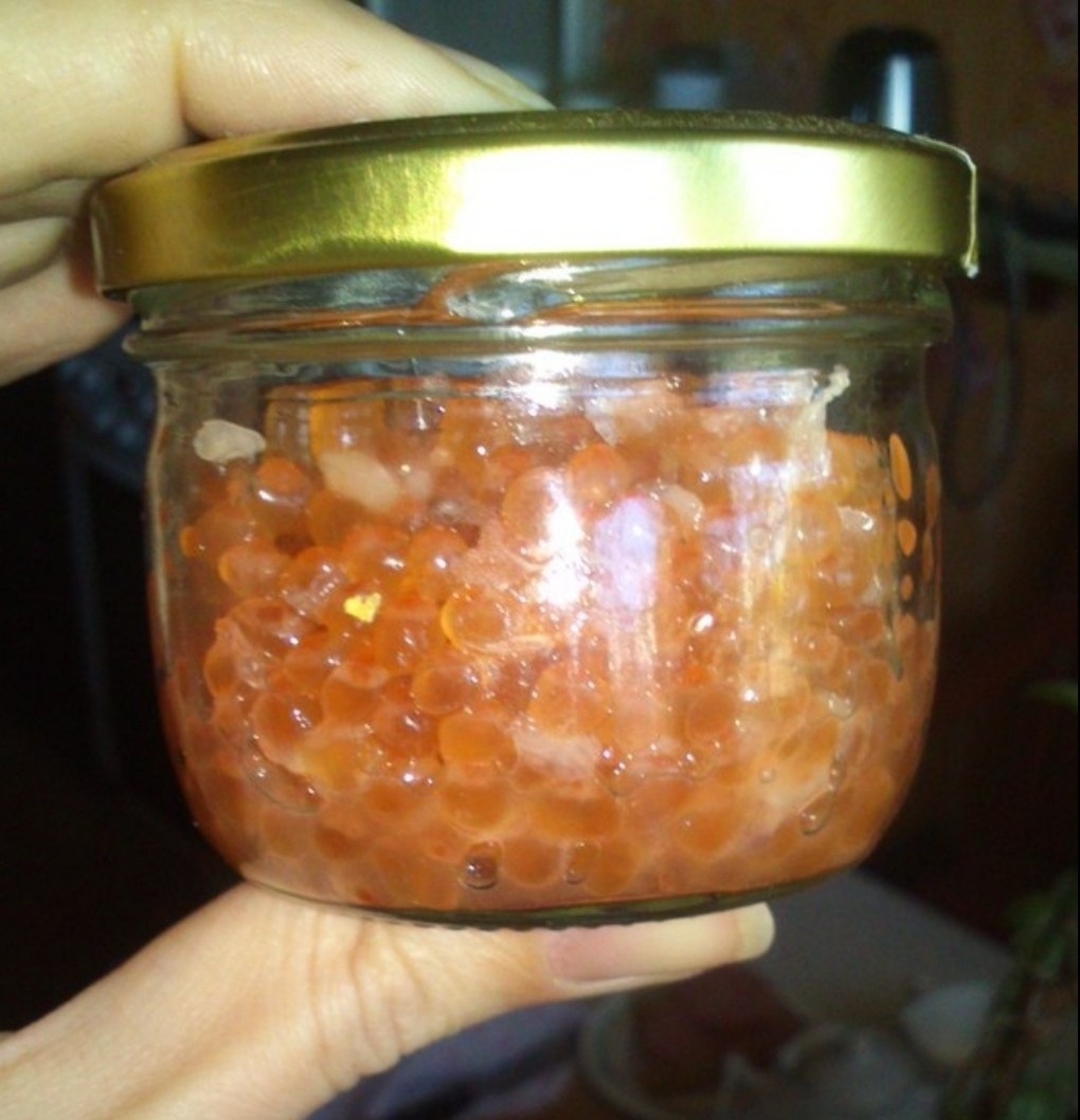 Из икры с одной рыбы можно сделать 5 бутербродов