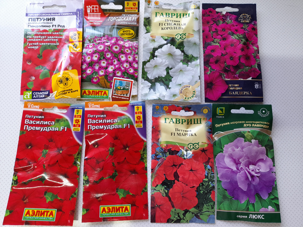 Дачная жизнь