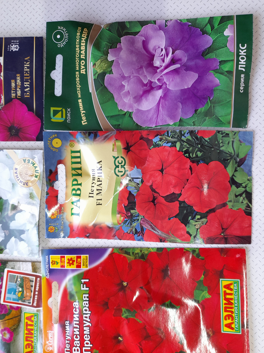 Дачная жизнь 