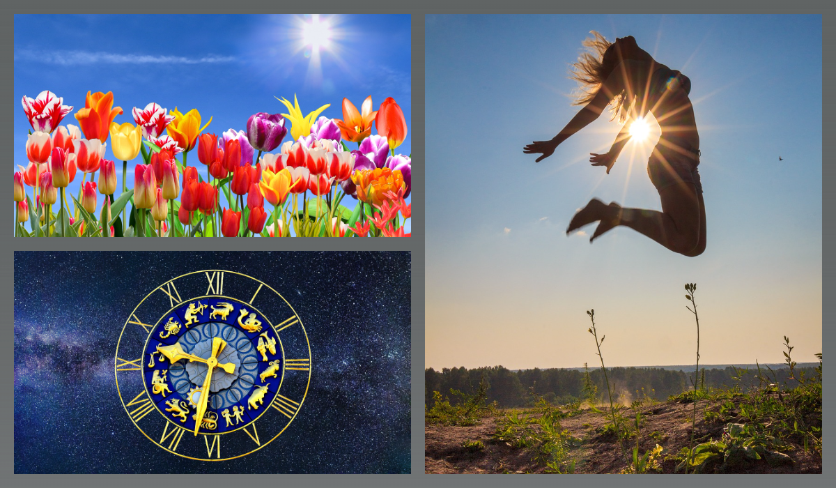 Коллаж/pixabay.com