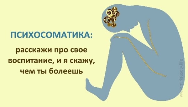 Картинка из открытых источников в интернете.