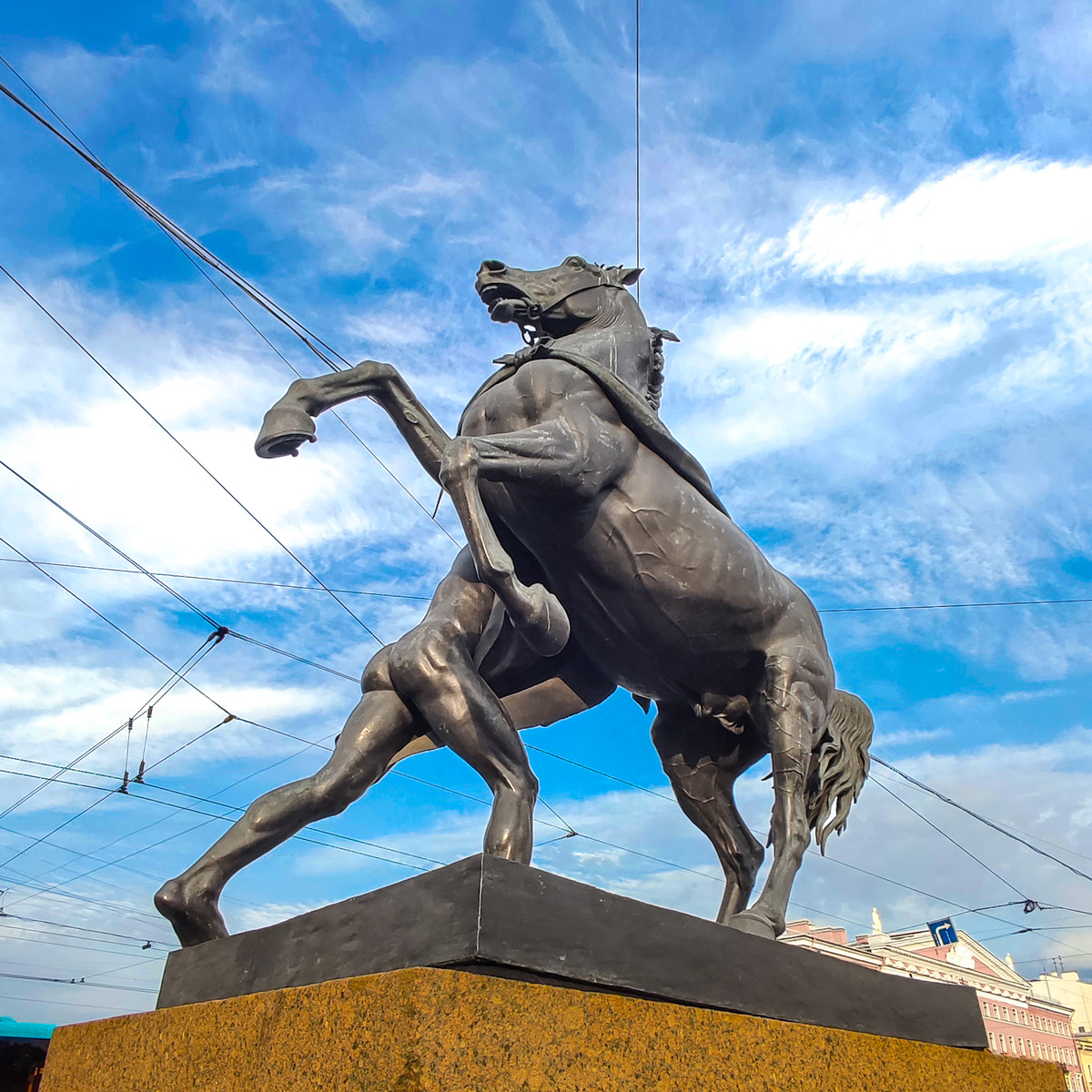 Фотографии  автора, копирование с разрешения  автора 