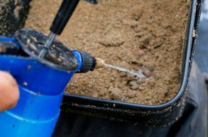 Классическая кормушка – идеал для фидера? Мнение Стива Рингера