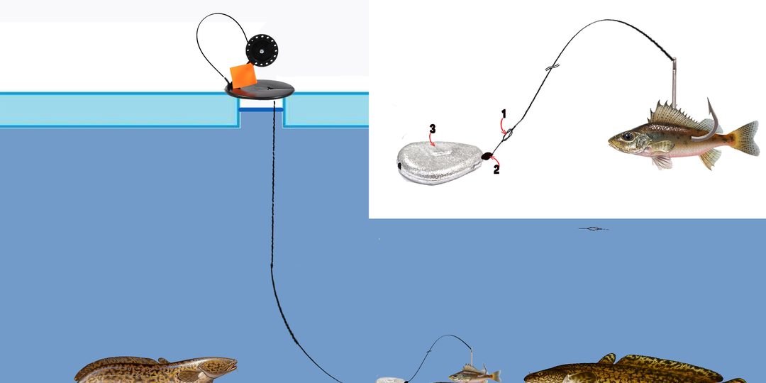 Налима зимой со льда на постовухи (жерлицы)
