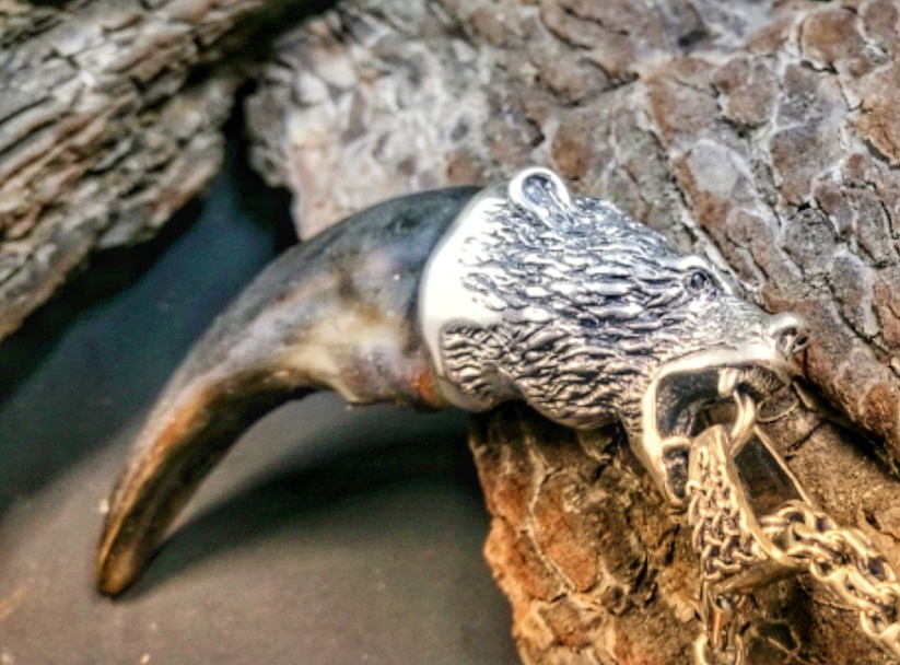 Коготь медведя