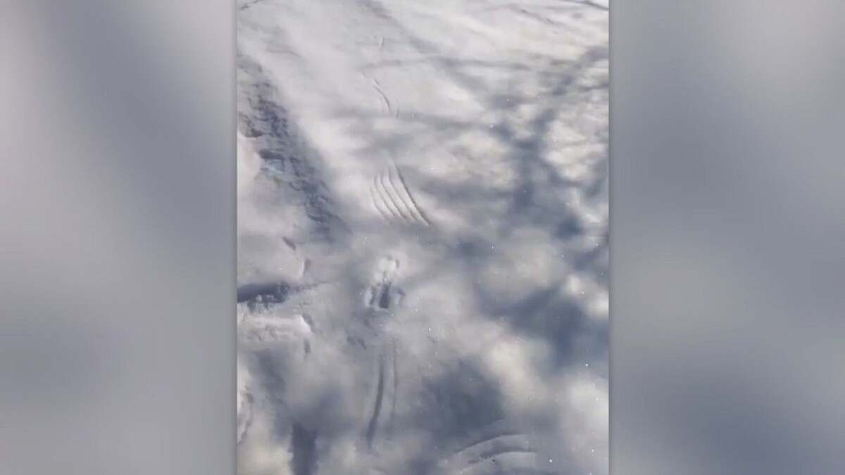    Фото: t.me/lagonakilive