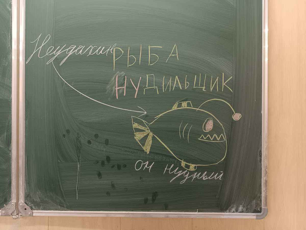 5 класс добрался до мелков