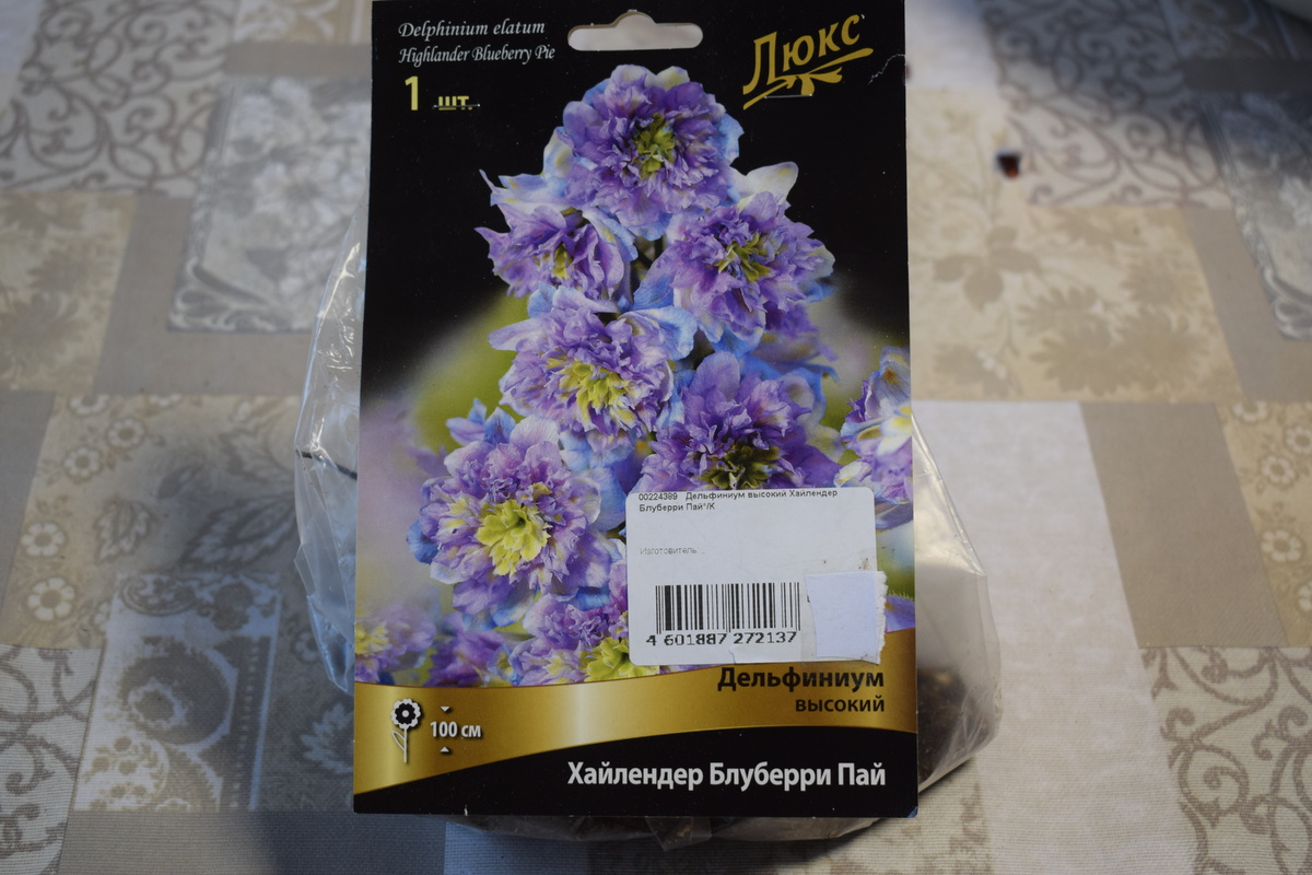 вот такой сюрприз прикупила в магазине(фото автора)