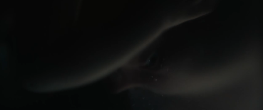 так Алия появляется в текущий момент в утробе матери, Леди Джессики