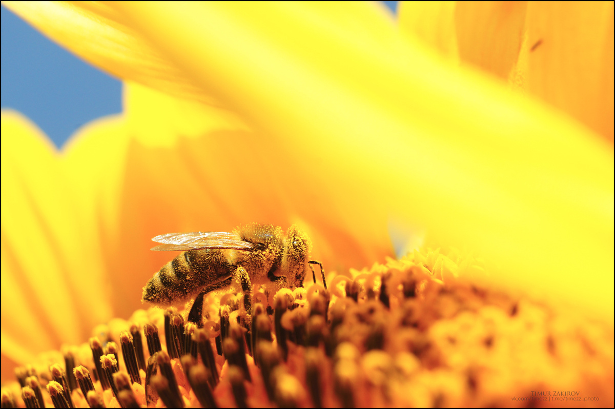 Здесь две фотографии, не пропустите, листайте >>>