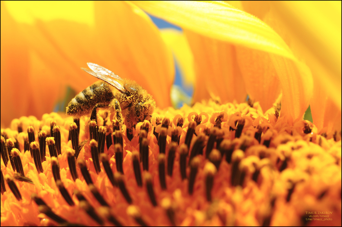 Здесь две фотографии, не пропустите, листайте >>>