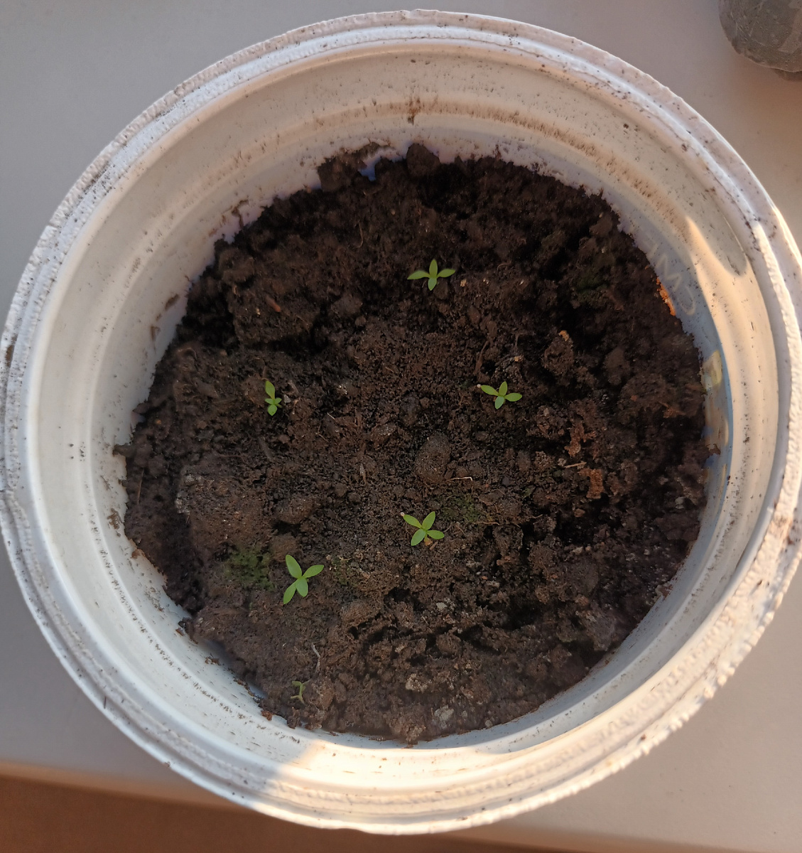 Уже кое-что просматривается