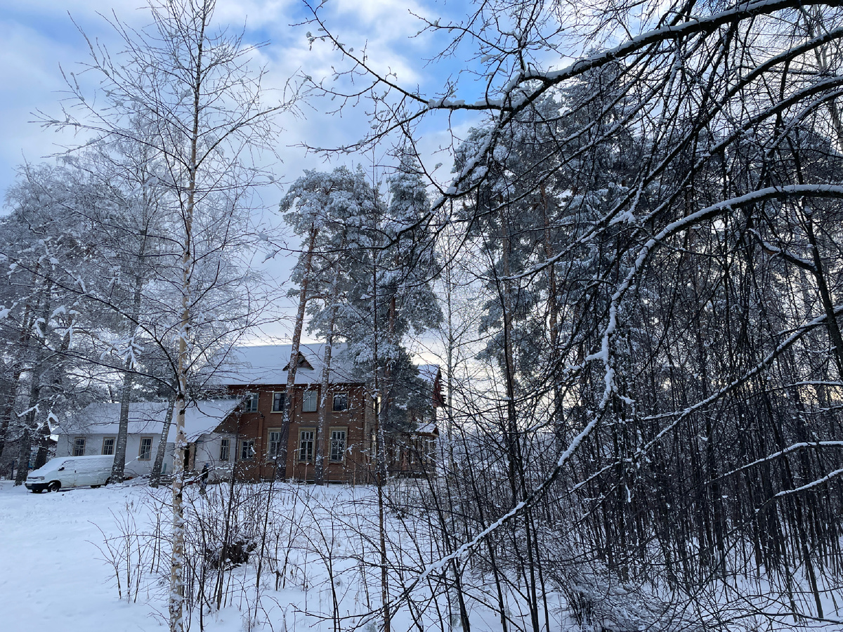 Снаружи вековые сосны и птички поют да белочки скачут