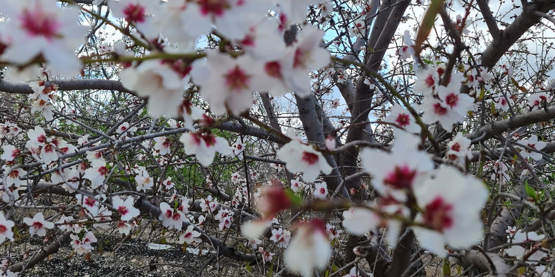 У всех прошу прощения...🙏🏻