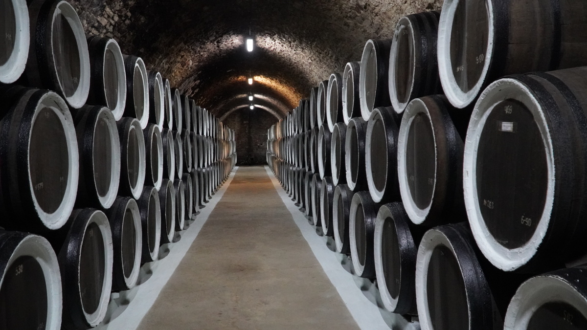    Фото "Крым 24" Elena Maltseva