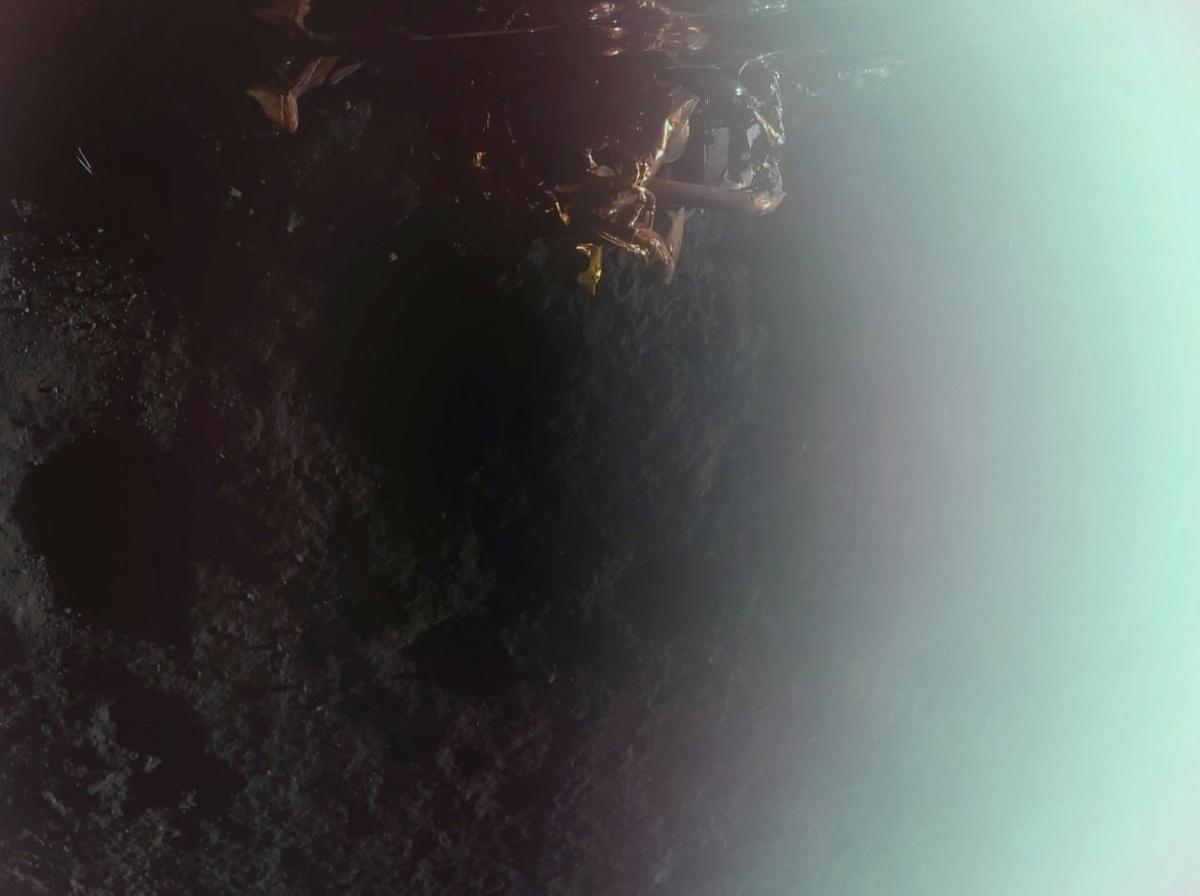 Первая фотография Луны, переданная модулем. Виден настоящий цвет лунной поверхности