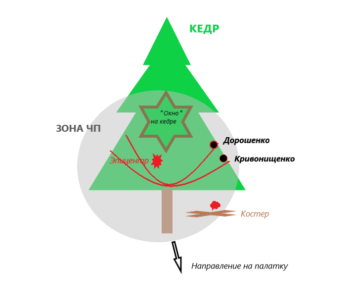 Рис. 1 Зона Первого ЧП перед кедром.
