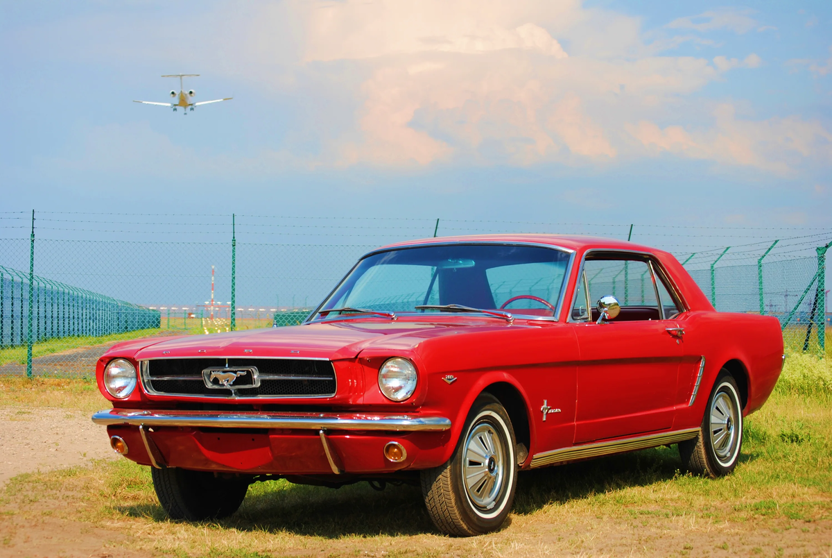 Фото: wall.alphacoders.com