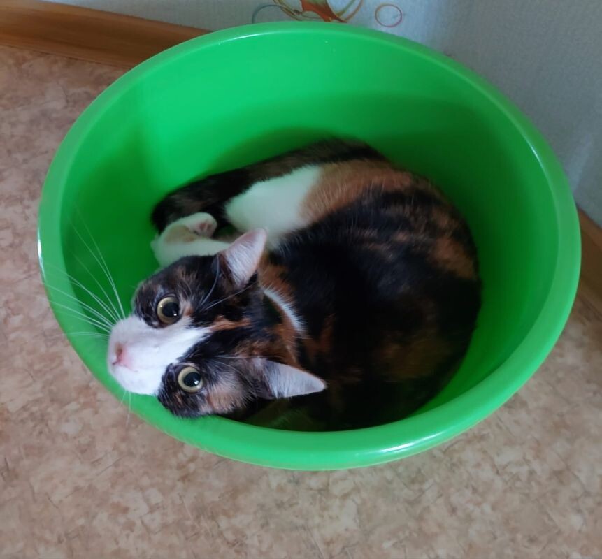 Фото: Читатели КаспийИнфо