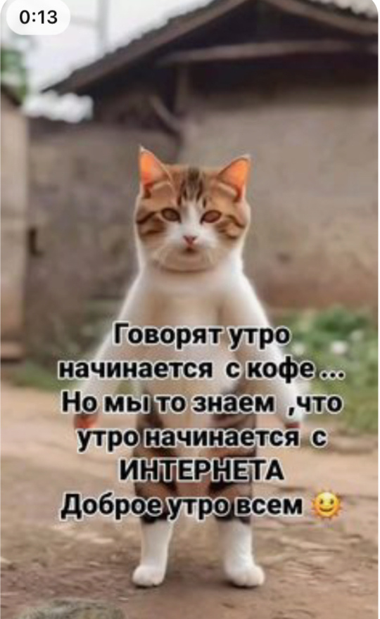 Фото из просторов интернета 