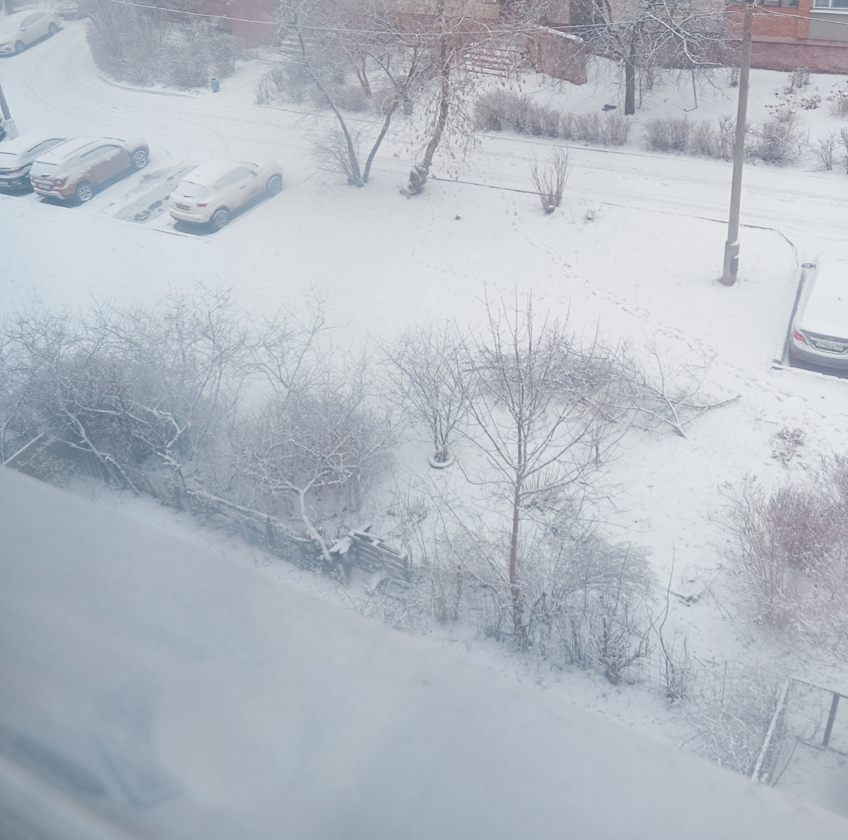 Личное фото автора канала