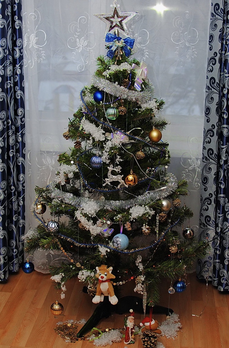 Фото взято из «Яндекс картинки». 