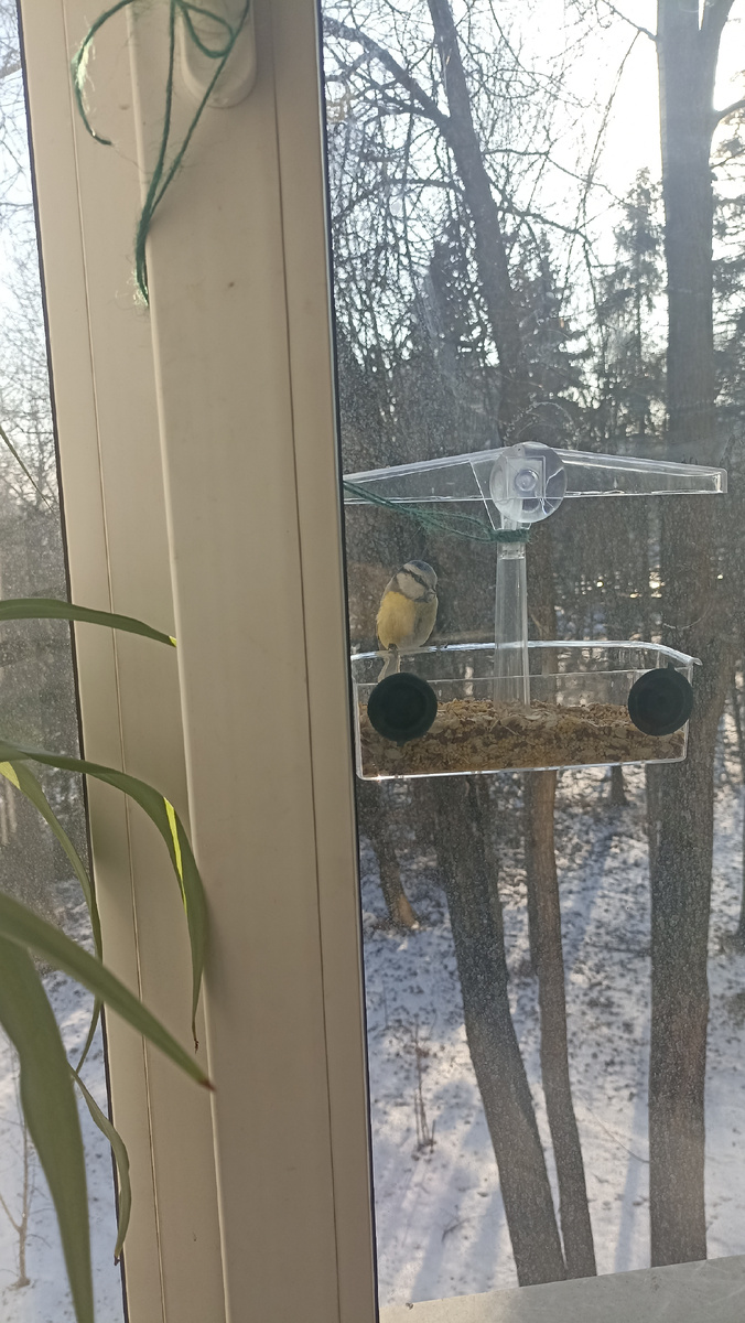 Кто за кем следит: они за нами или мы за ними?) 