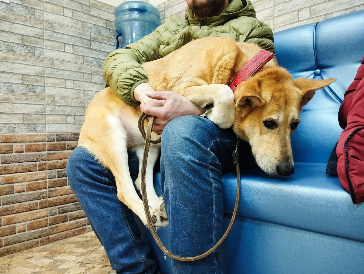 Машенька, потерпи, золотая 🙏