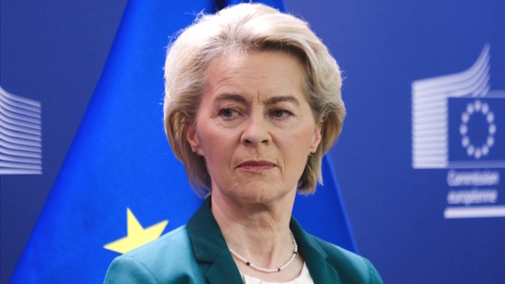    Фон дер Ляйен призвала превратить Украину в "стального дикобраза" Егор Гордеев