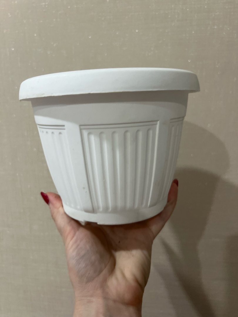 подготовили горшок подходящей ёмкости с дренажными отверстиями