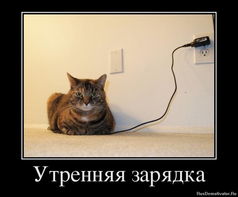 источник Яндекс-картинки