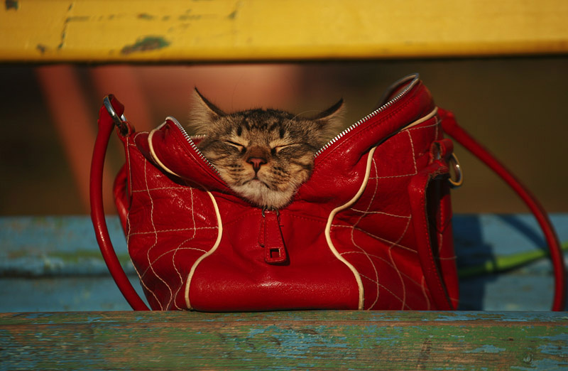 источник Яндекс-картинки