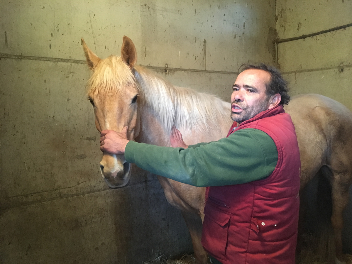 Это сам Эмильяно с лошадью соловой масти