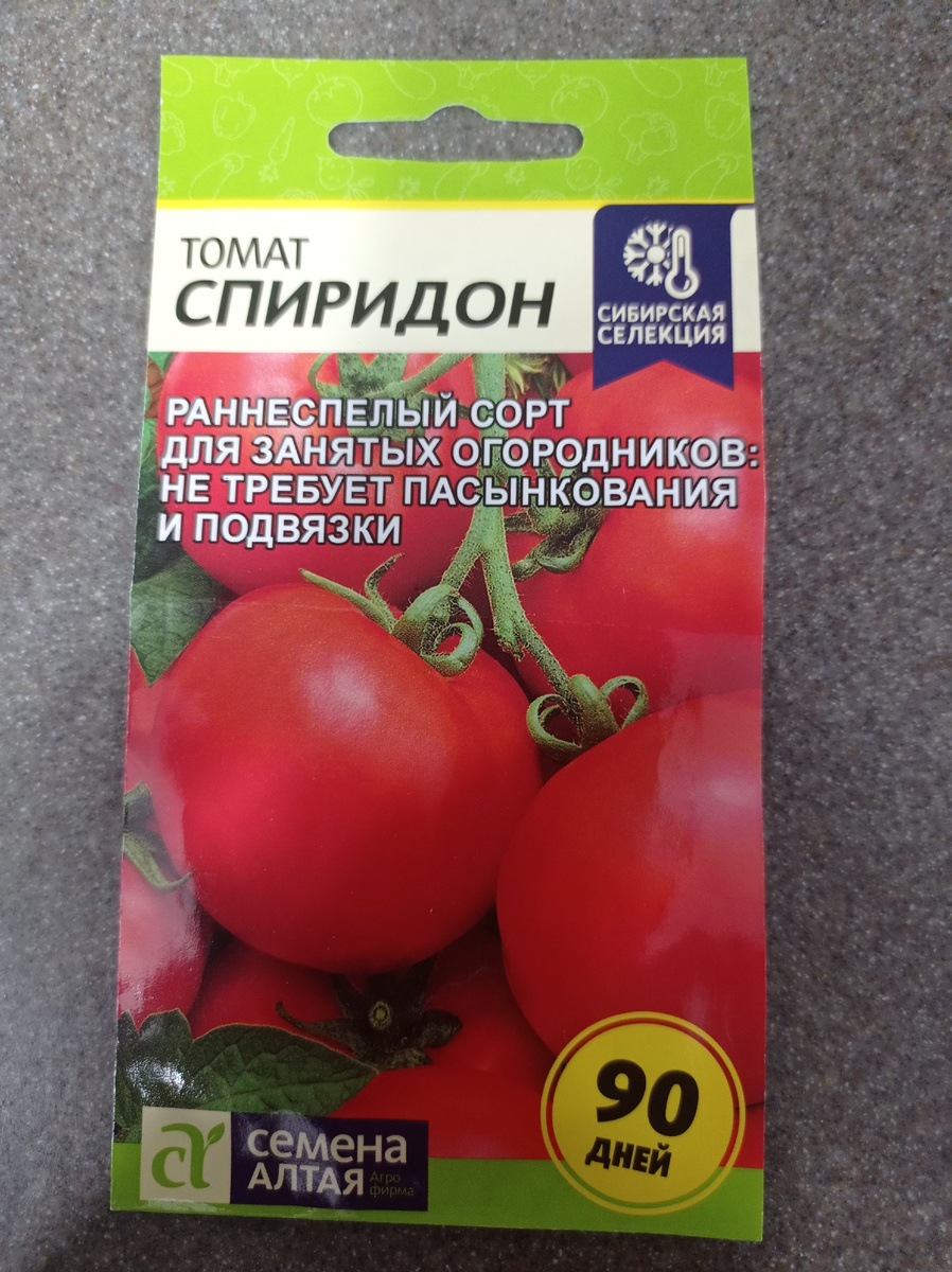 Оказались потерянными в корзине