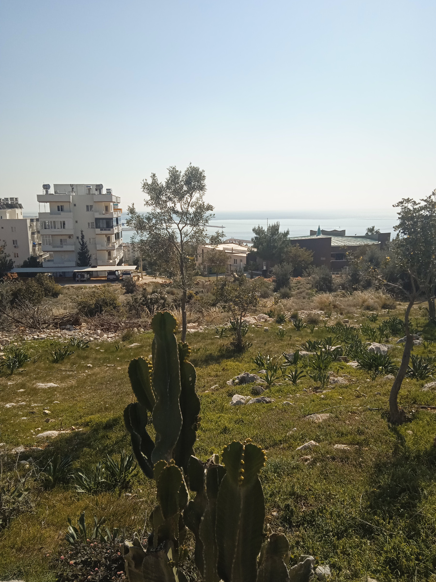 Такой, например.