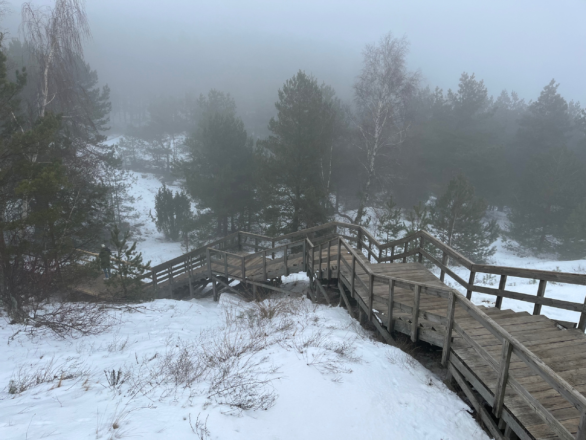 -19