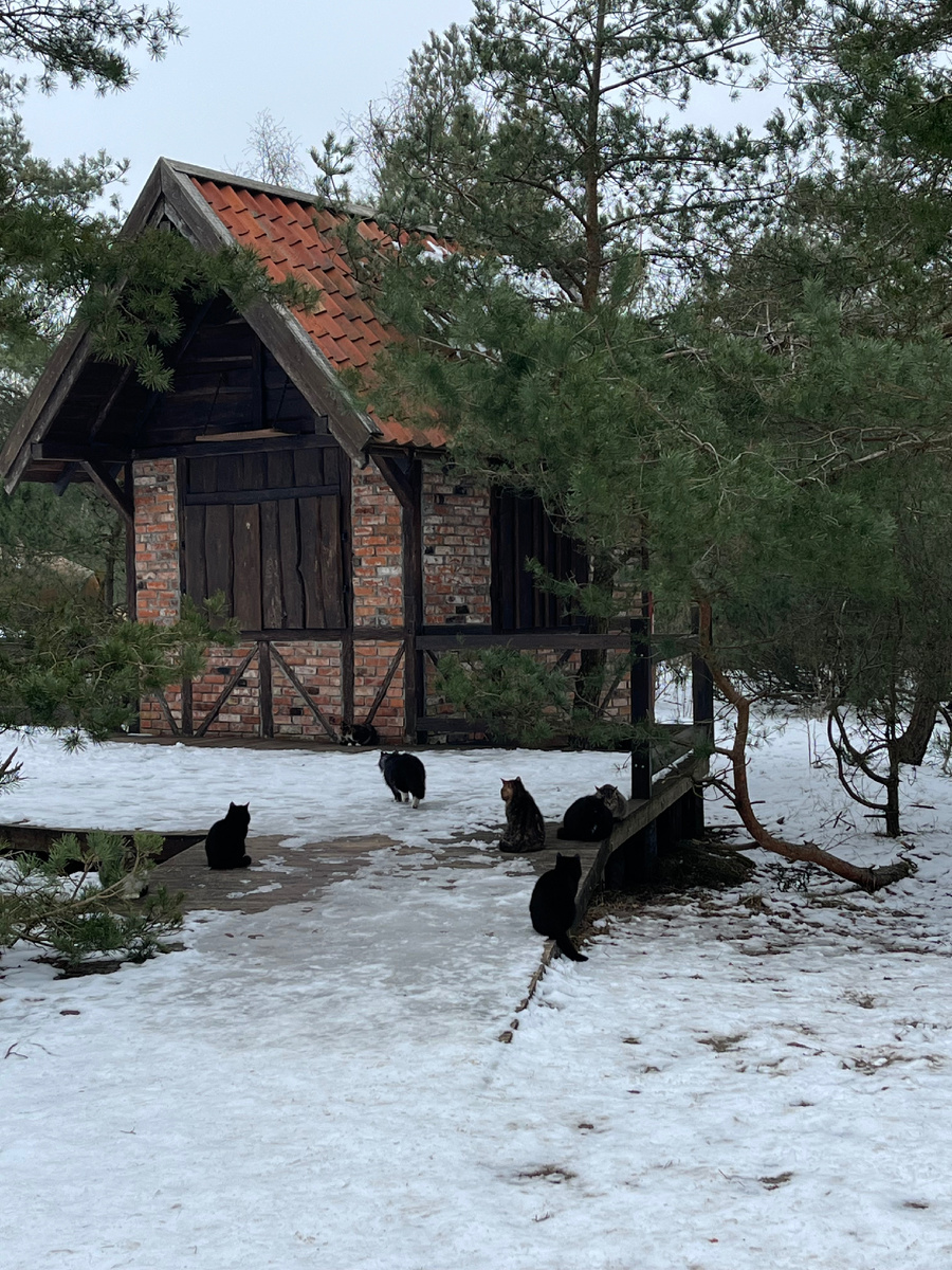 -28