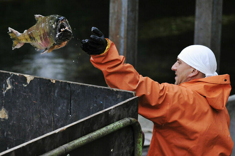   ИТАР-ТАСС/ Александр Петров