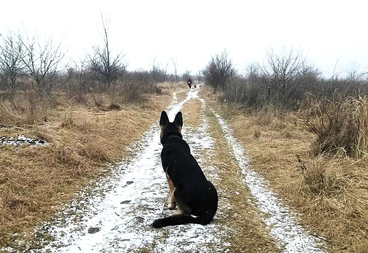 Фото автора