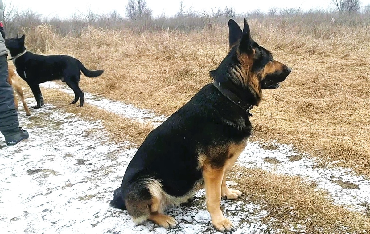 Фото автора