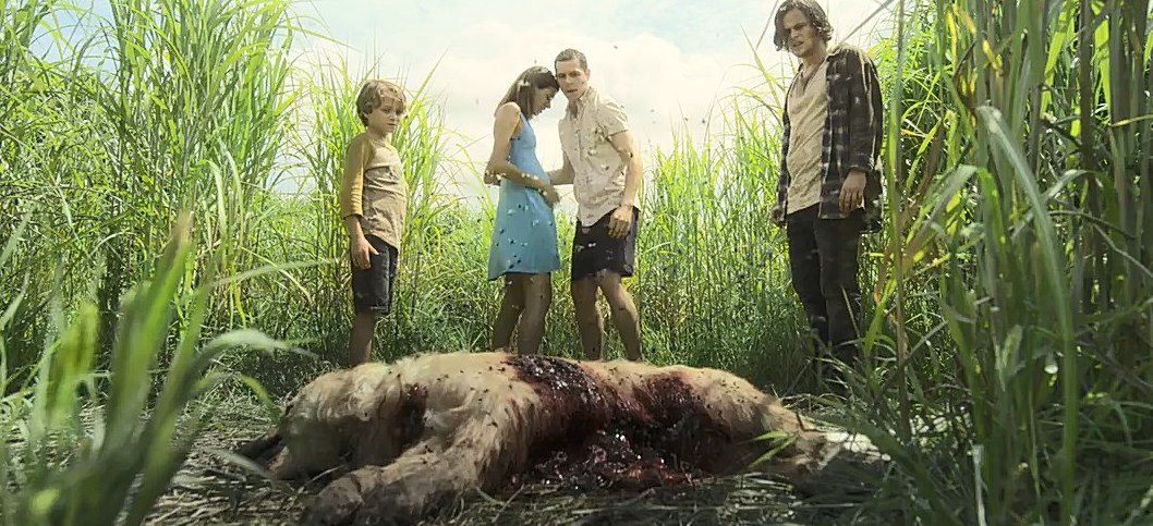 Кадр из фильма «In the Tall Grass». Режиссер: Винченцо Натали. Производство: Copper Heart Entertainment, Netflix