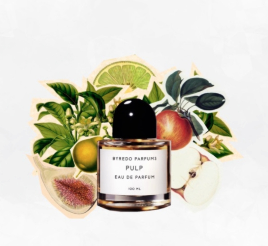 Фото из открытого источника в Интернете 