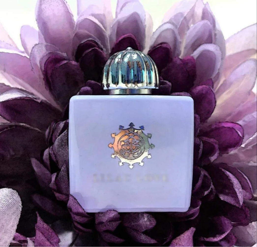 Фото из открытого источника в Интернете 