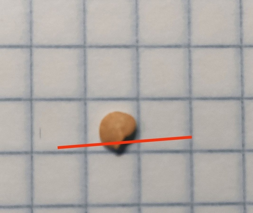 Обрезка» оболочки