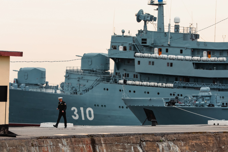    Фото: Roman Naumov URA.RU/Globallookpress