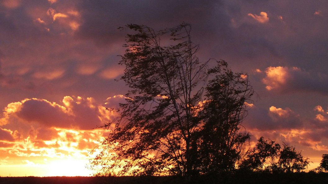    Victor Lisitsyn, Виктор Лисицын/Globallookpress