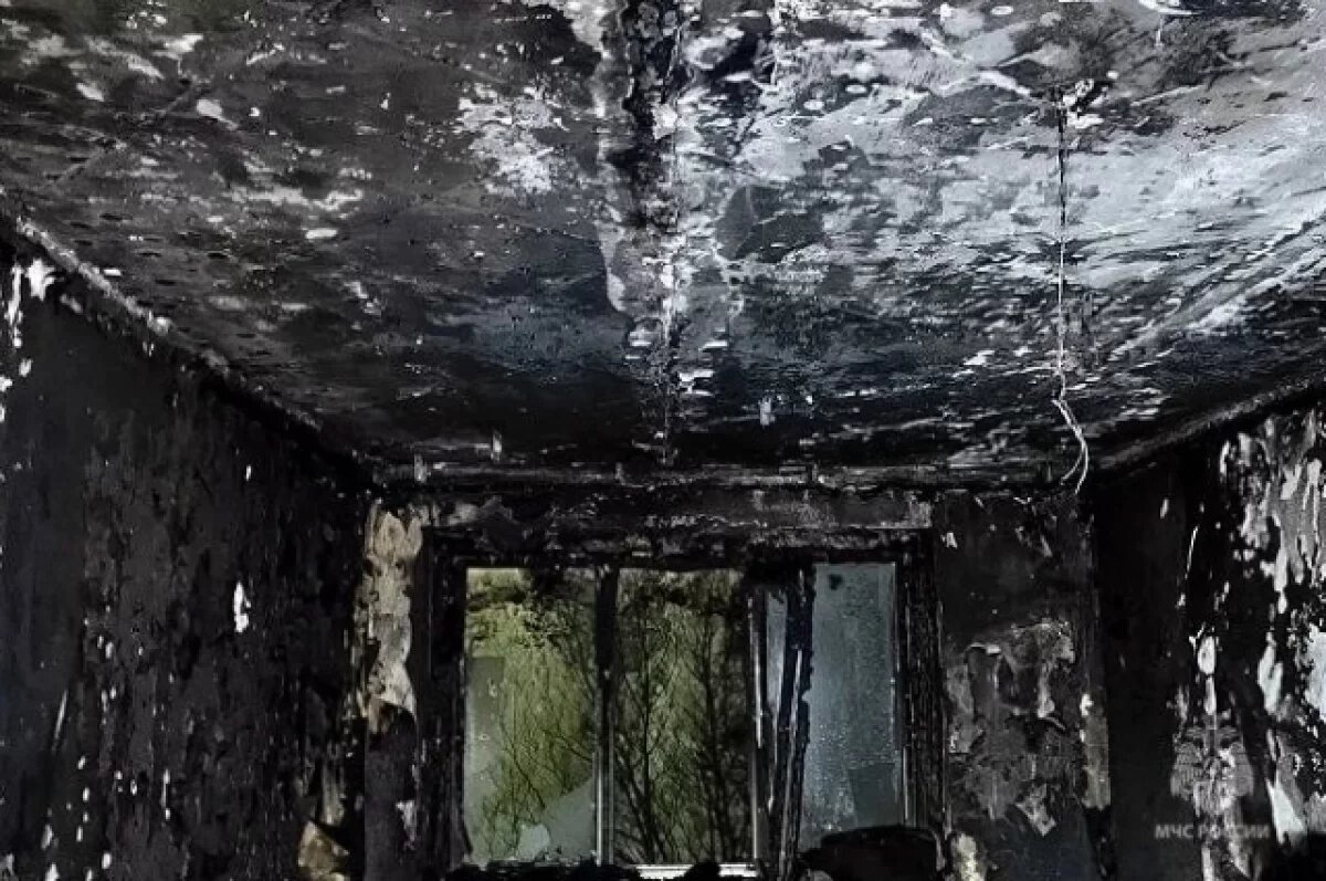    Мужчина пострадал при пожаре в доме на Океанской в Петропавловске