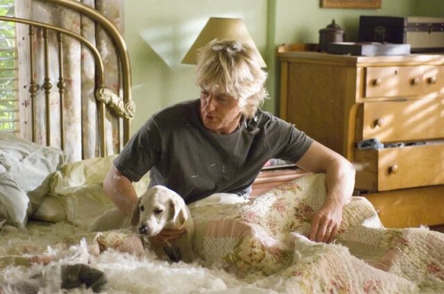 "Марли и я" (2008) Источник: изображение взято в свободном доступе из интернета (Яндекс.Картинки).
