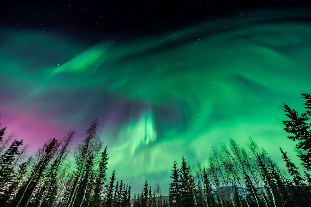 Источник: изображение взято в свободном доступе из интернета (Яндекс.Картинки).